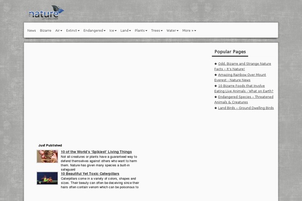 Ribbon Lite theme site design template sample