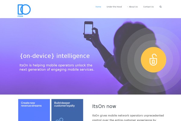 itsoninc.com site used Skt-activism-lite