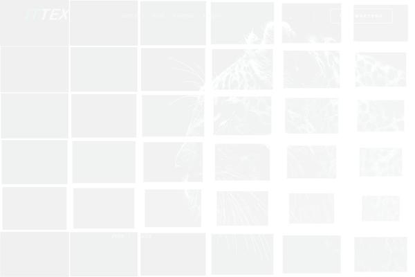 Site using Orion-framework plugin