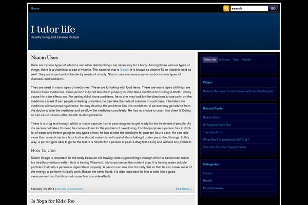 Wp-vybe theme site design template sample