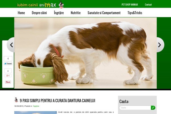 Nature theme site design template sample