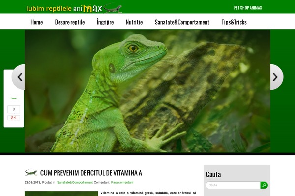 Nature theme site design template sample