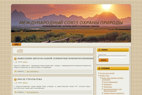Rising-sun theme site design template sample