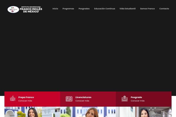 Kingster theme site design template sample