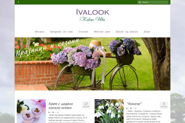 Virtue theme site design template sample