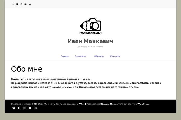 Vilva theme site design template sample