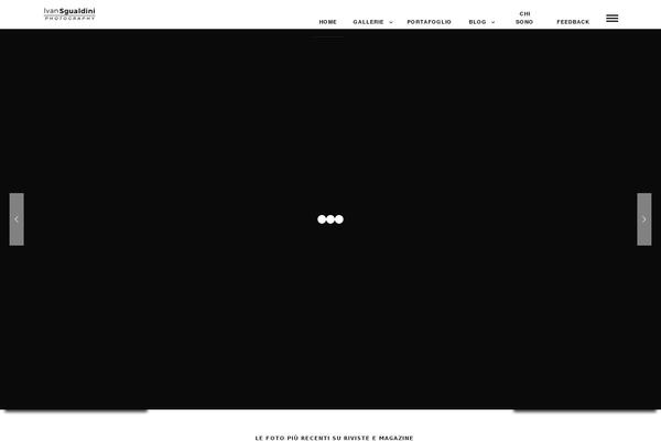 Site using Transposh WordPress Translation plugin