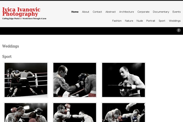 Site using Responsive WordPress Gallery - Envira Gallery Lite plugin