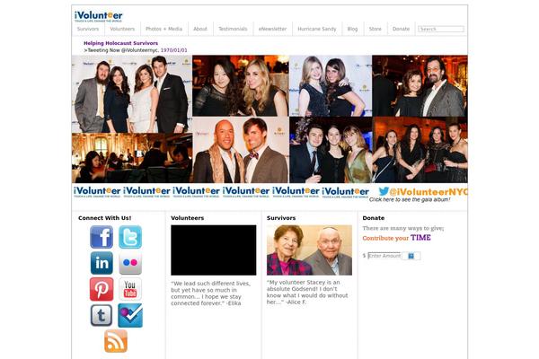 Volunteer theme site design template sample