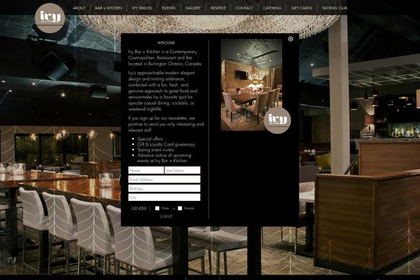 Basic theme site design template sample