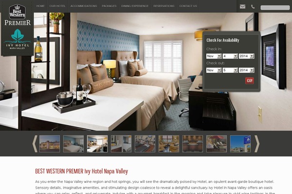 Napa theme websites examples