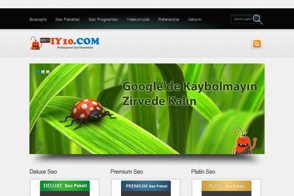 the-seo theme websites examples