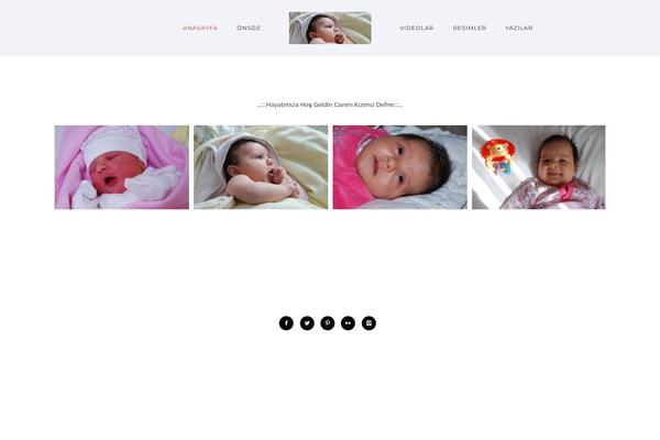 Site using Masterslider plugin