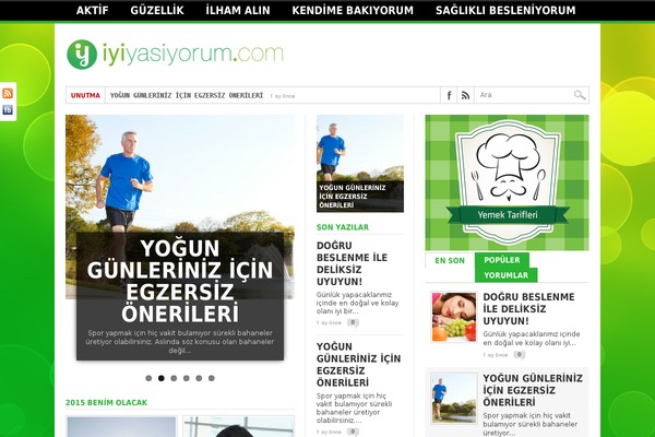 Max Mag theme site design template sample