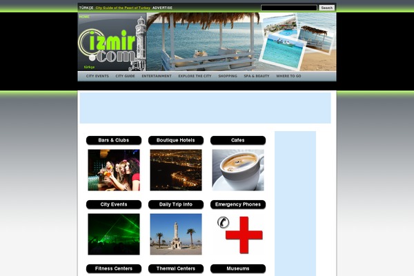 izmir theme websites examples