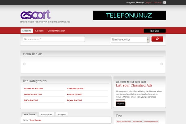 ClassiPress theme site design template sample