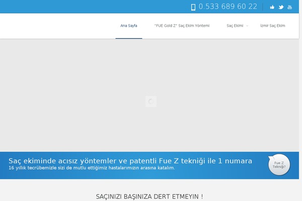 Circles theme site design template sample