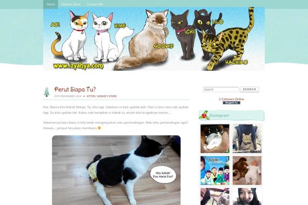 Site using Instagram for WordPress plugin