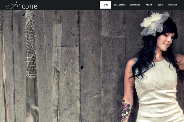 Big Point theme site design template sample