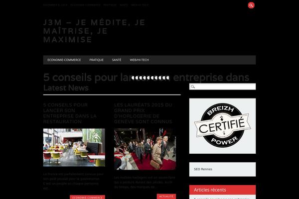 The Newswire theme site design template sample