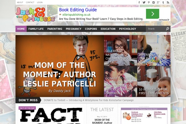 Hot Topix theme site design template sample