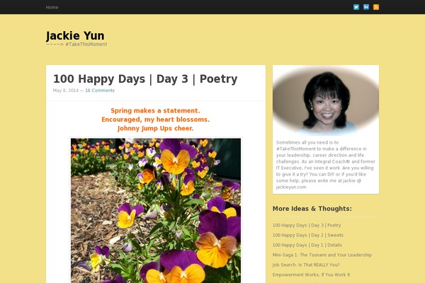 Standard theme site design template sample
