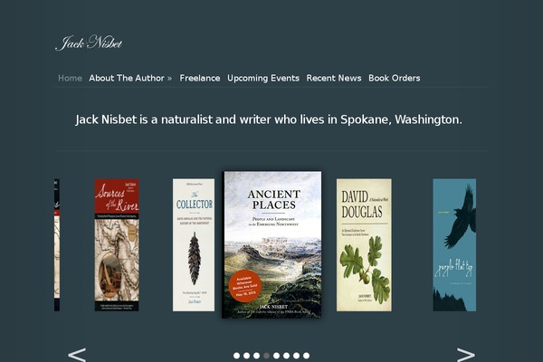 Modest theme site design template sample