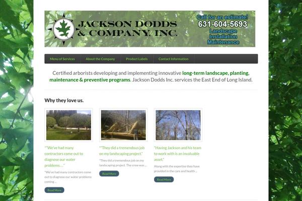 Function theme site design template sample