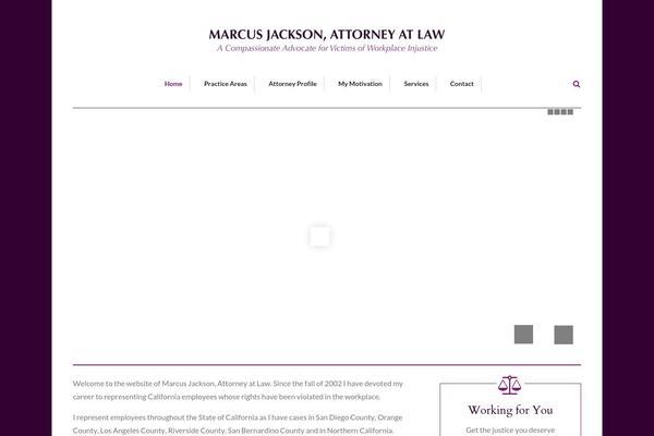 The Practice theme site design template sample