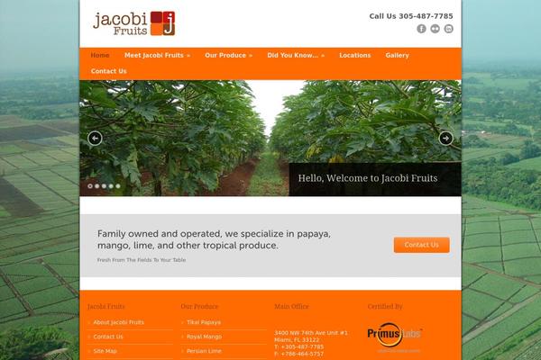 Modernize theme site design template sample