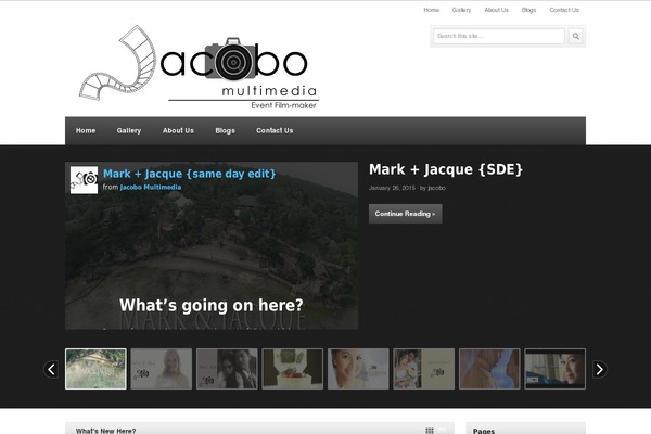 VideoPlus theme site design template sample