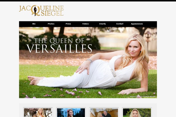 Themify-elegant theme site design template sample