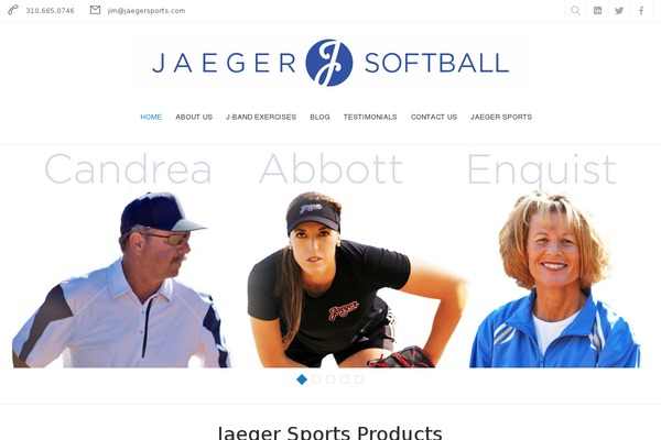 Skillful theme site design template sample