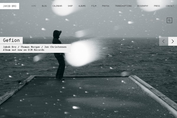 Muse theme site design template sample
