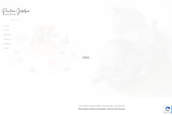 Site using Wpb-accordion-menu-or-category-pro plugin