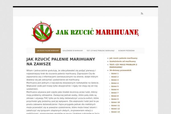 Wp-enlightened104 theme site design template sample