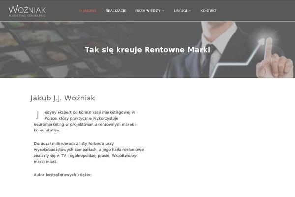 Skyetheme theme site design template sample