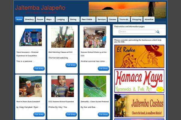 Total theme site design template sample