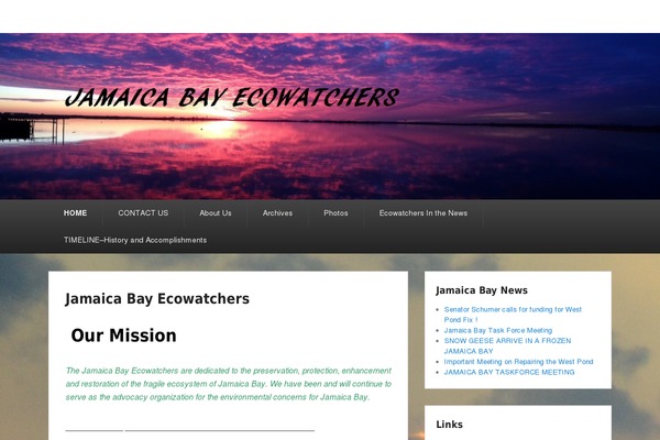 jamaicabayecowatchers.org site used Catch Evolution