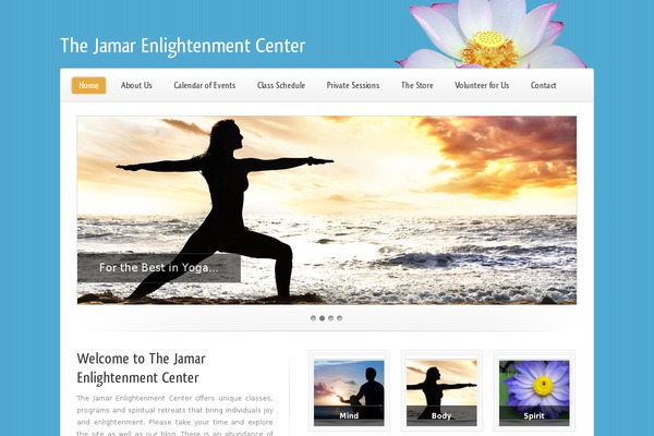 Limon theme site design template sample