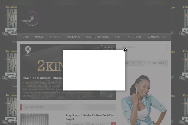 Mts_sense theme site design template sample