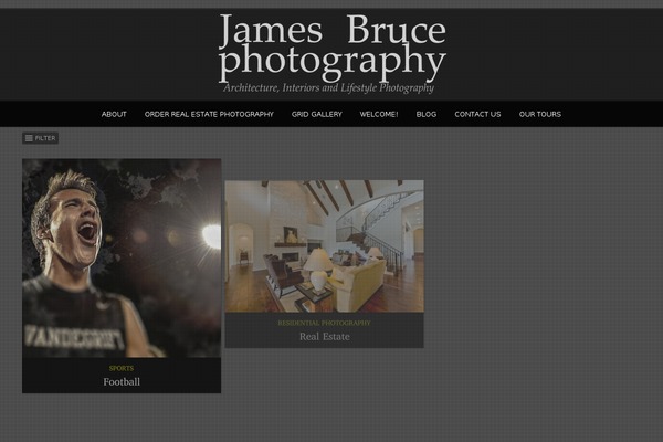 Photolux theme site design template sample