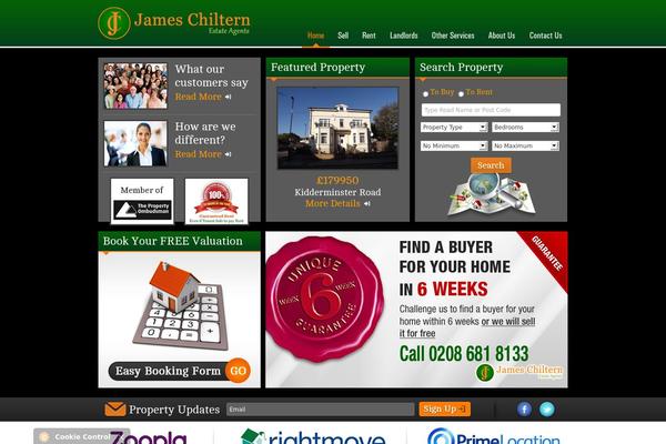 James theme site design template sample