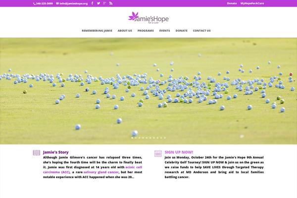Site using Google Analyticator plugin