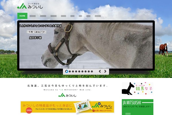 Site using Max Mega Menu plugin