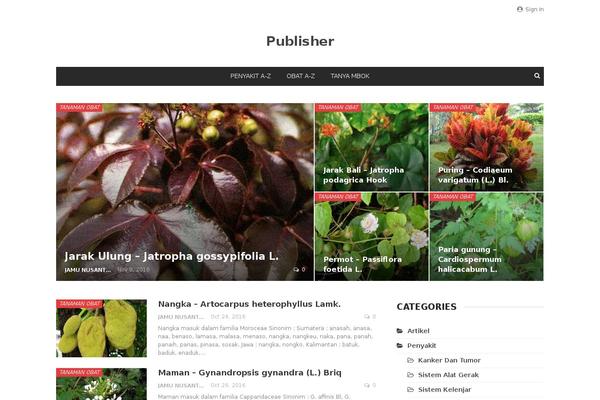 Ionmag theme site design template sample