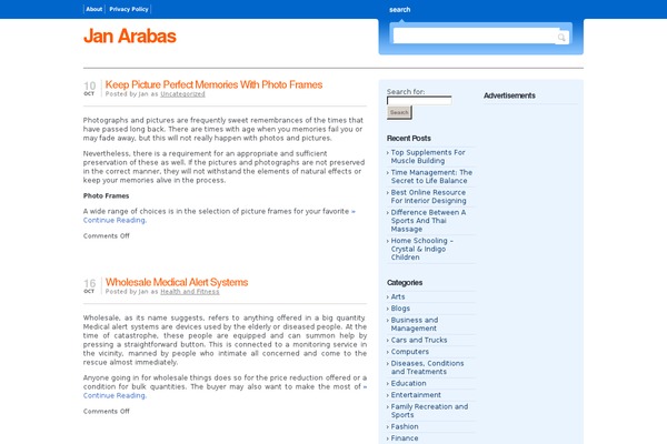 Bloggingpro_wr theme site design template sample