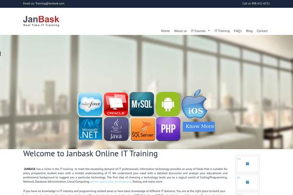 Appic theme site design template sample