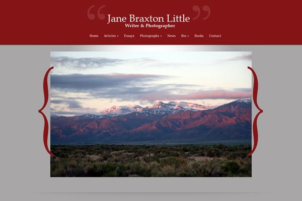 Leanbiz theme site design template sample