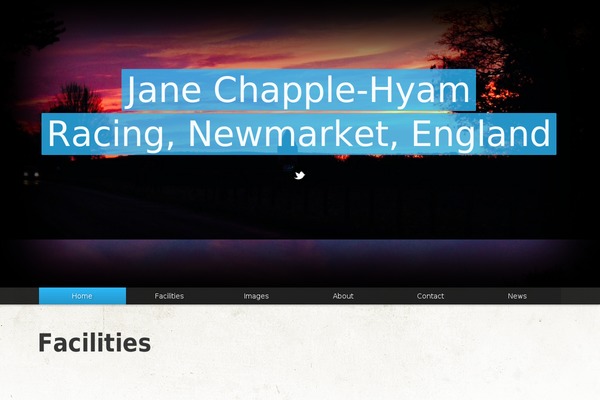 Folio theme site design template sample